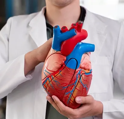 Kardiologie